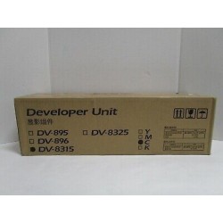 UNITA DI SVILUPPO DEVELOPER...