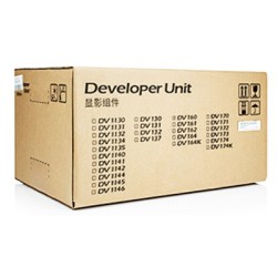 SVILUPPATORE DEVELOPER...